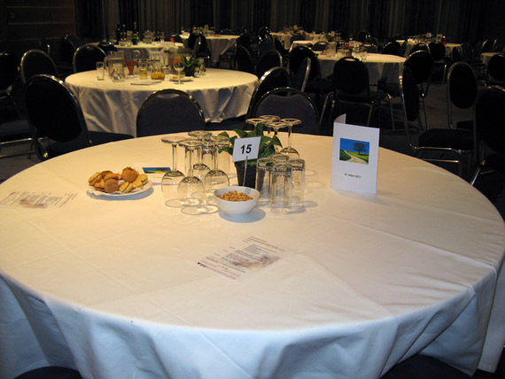 VII_Nowruzfest_2011
